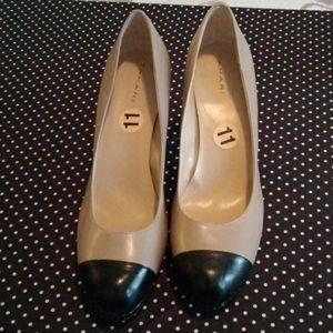 Black hills and black tips on the end